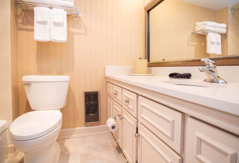 带2个双人床的标准工作室, Best Western Dorchester