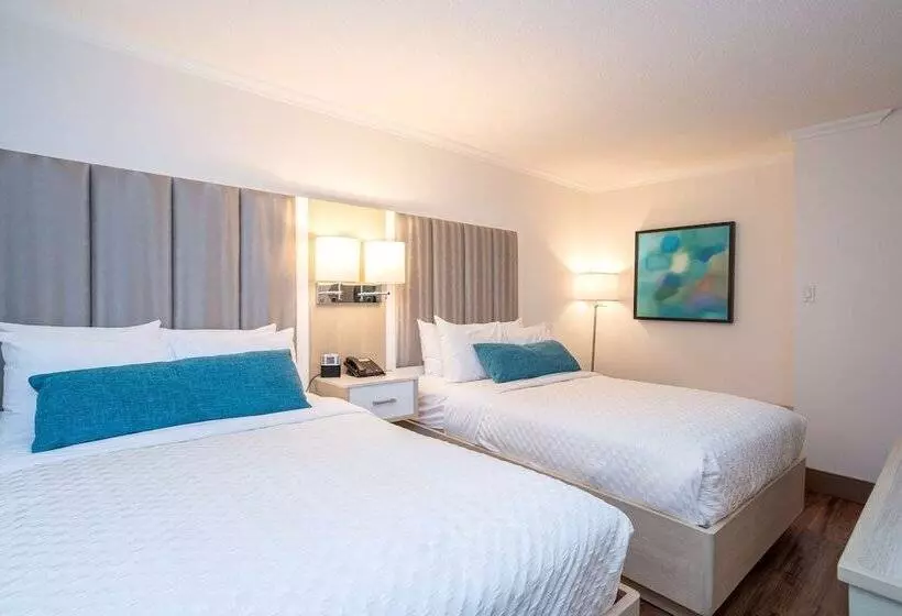 سوییت خانوادگی, Best Western Dorchester