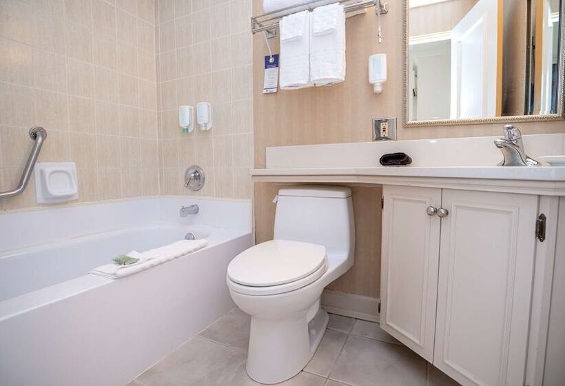 סוויטת פרמיום, Best Western Dorchester