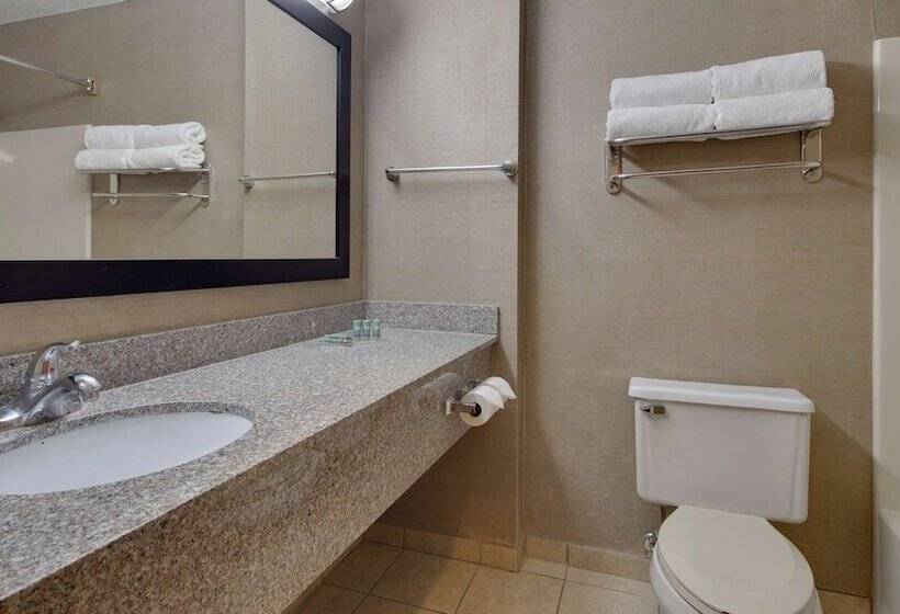 Номер Стандарт 2 Двуспальные Кровати, Best Western Pontiac Inn
