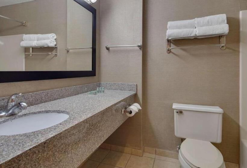 Стандартный Номер Кровать Кинг, Best Western Pontiac Inn