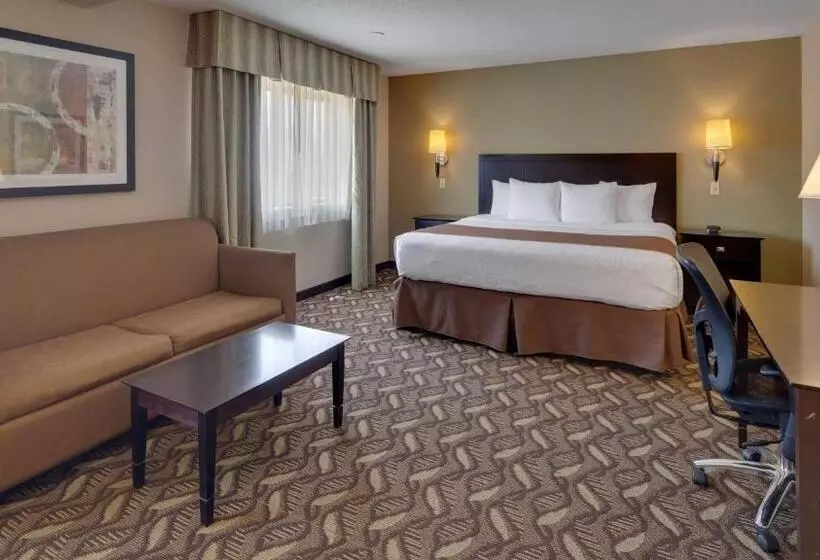 キングサイズベッドのスイートルーム, Best Western Pontiac Inn