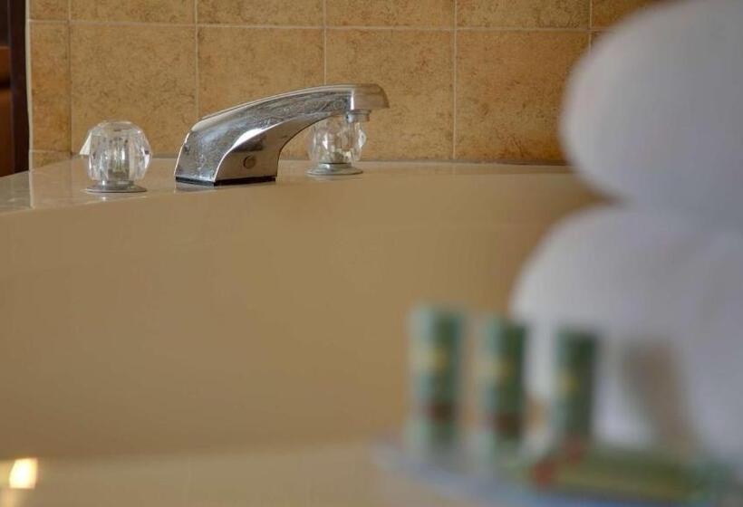 Номер Deluxe Кровать Кинг, Best Western Pontiac Inn