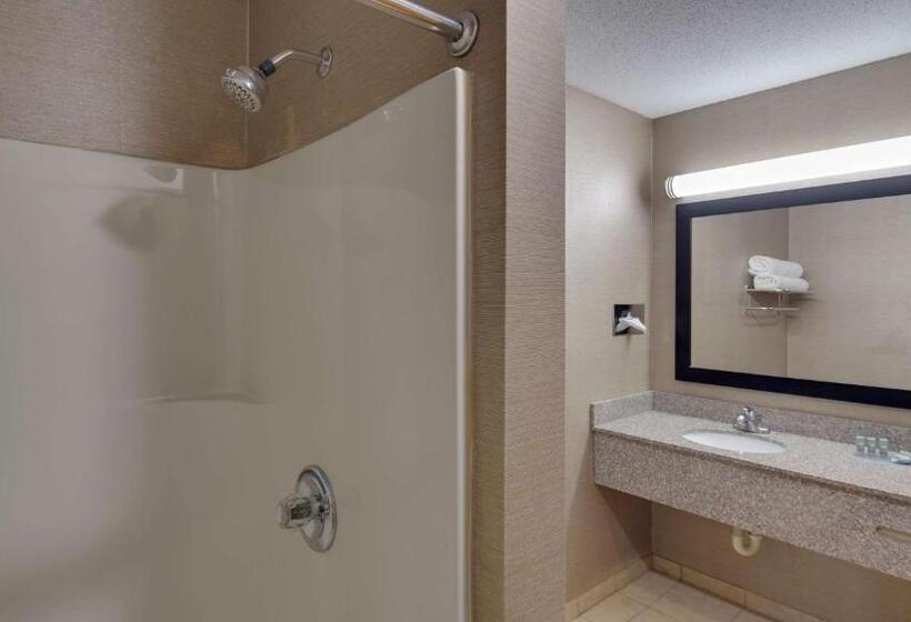 Номер Стандарт Кровать Кинг Адаптированный для Инвалидов, Best Western Pontiac Inn