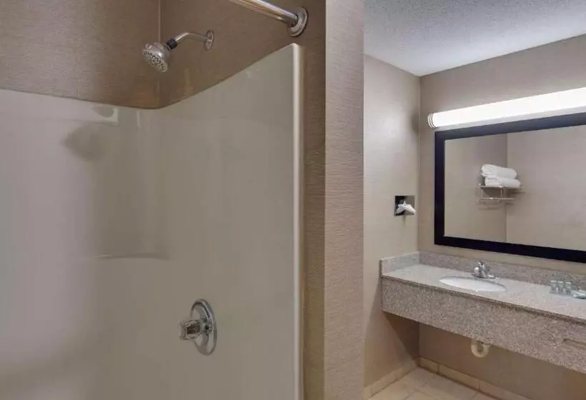 身障者適用キングサイズベッドルーム, Best Western Pontiac Inn