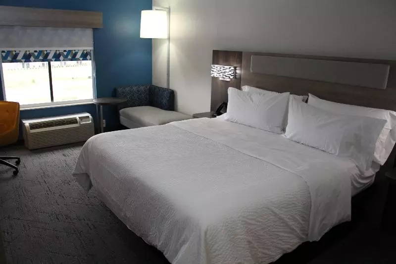 キングサイズベッドのスタンダードルーム, Holiday Inn Express Rocky Mount Sports Center By Ihg