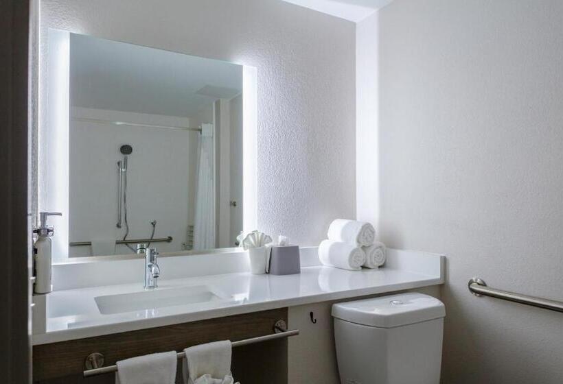 חדר סטנדרט מותאם לאדם עם מוגבלויות, Holiday Inn Express Rocky Mount Sports Center By Ihg