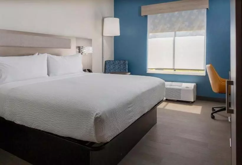 身障者適用キングサイズベッドルーム, Holiday Inn Express Rocky Mount Sports Center By Ihg