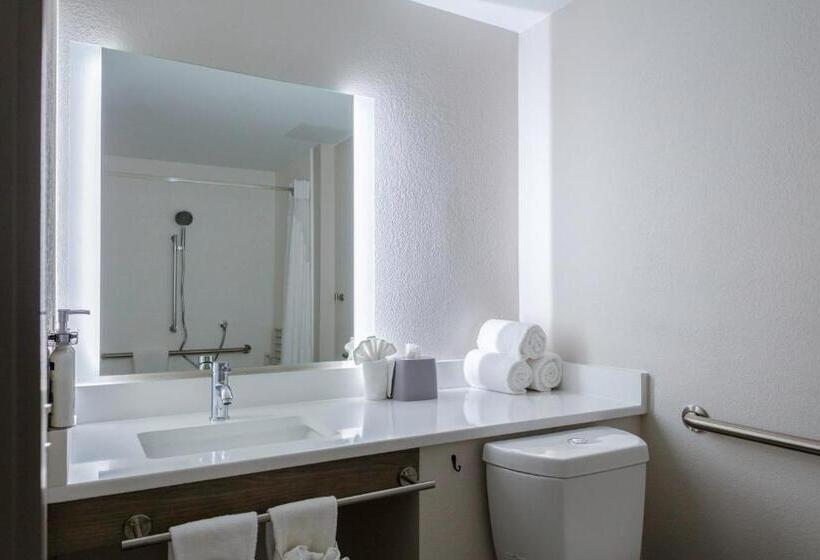 חדר סטנדרט, מיטת קינג, מותאם לאדם עם מוגבלויות, Holiday Inn Express Rocky Mount Sports Center By Ihg