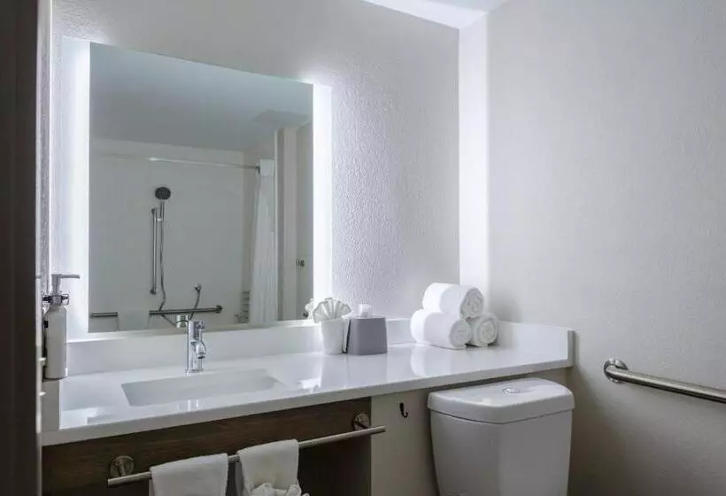 身障者適用キングサイズベッドルーム, Holiday Inn Express Rocky Mount Sports Center By Ihg