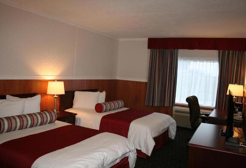 חדר סטנדרט שתי מיטות זוגיות, North