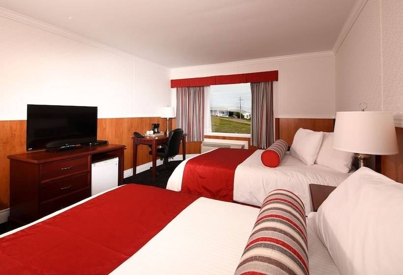 חדר סטנדרט שתי מיטות זוגיות, North