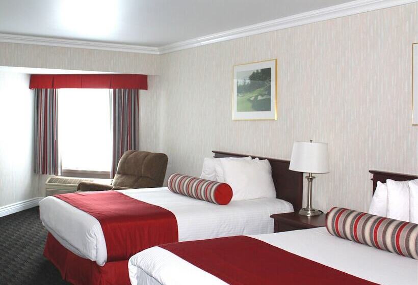 חדר סטנדרט שתי מיטות זוגיות, North