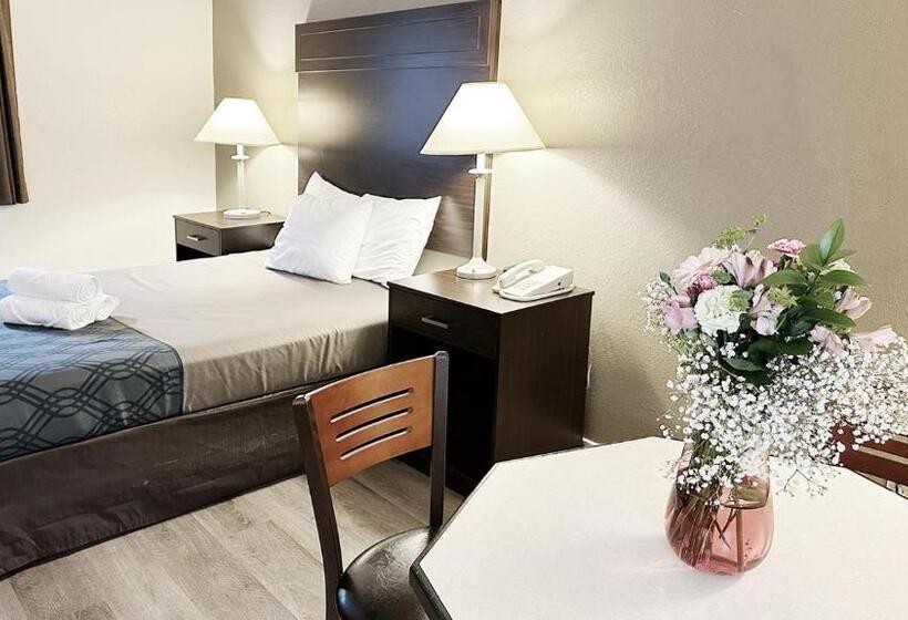 스탠다드 룸, Ocean Star Inn