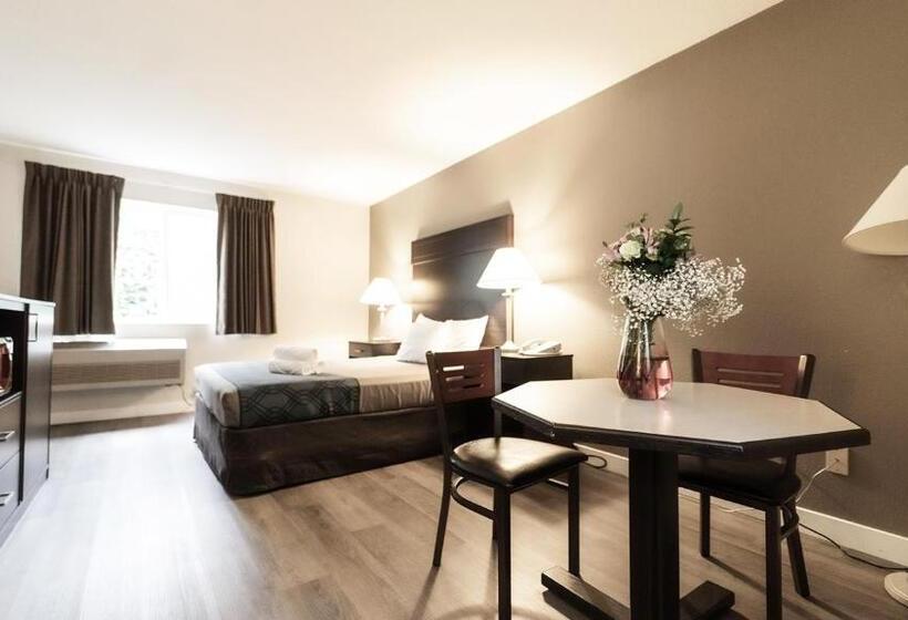 غرفة قياسية, Ocean Star Inn