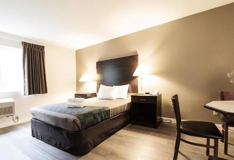 غرفة قياسية لذوى الاحتياجات الخاصة, Ocean Star Inn