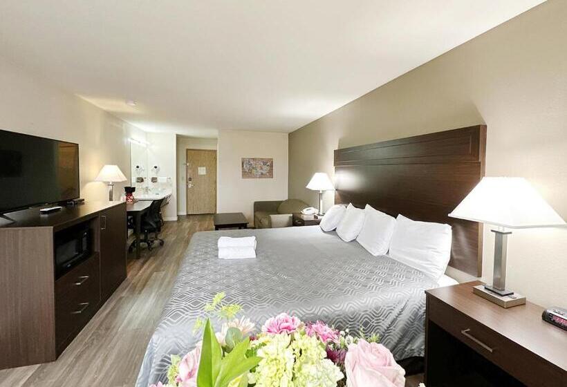 스탠다드 룸 킹사이즈 침대, Ocean Star Inn