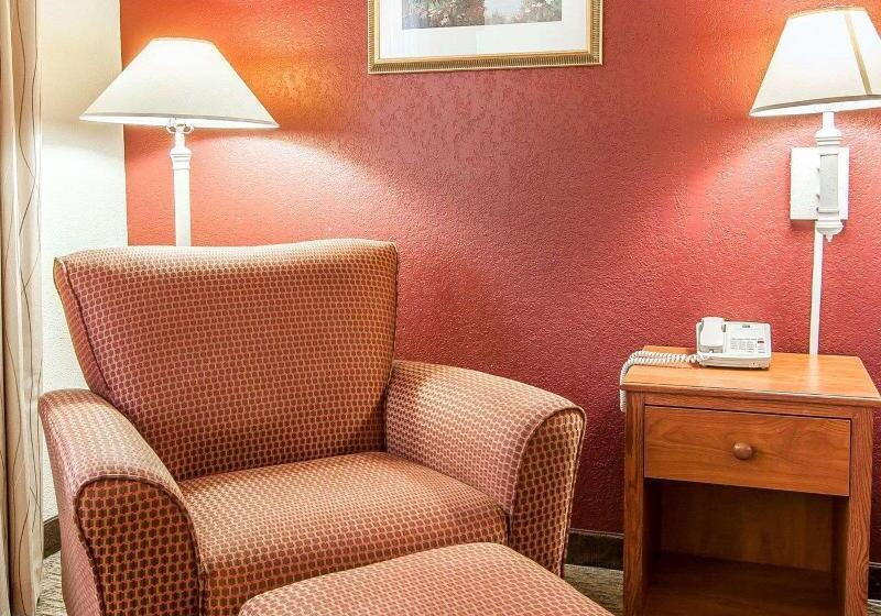 스탠다드 룸 킹사이즈 침대, Quality Inn Downtown Convention Center
