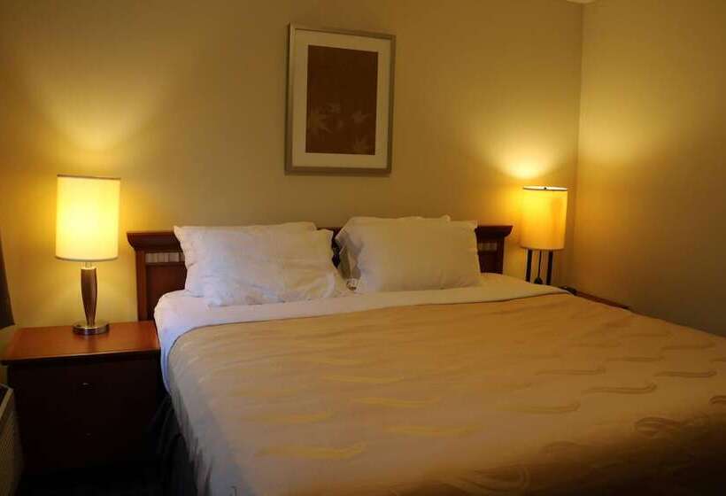 غرفة بيزنس, Riviera Inn And Suites 1000 Islands