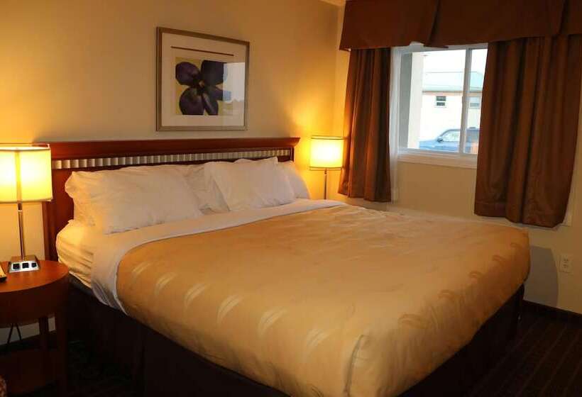 비즈니스룸, Riviera Inn And Suites 1000 Islands