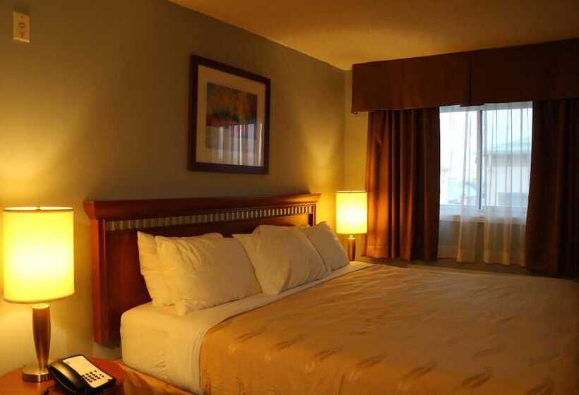 غرفة بيزنس, Riviera Inn And Suites 1000 Islands