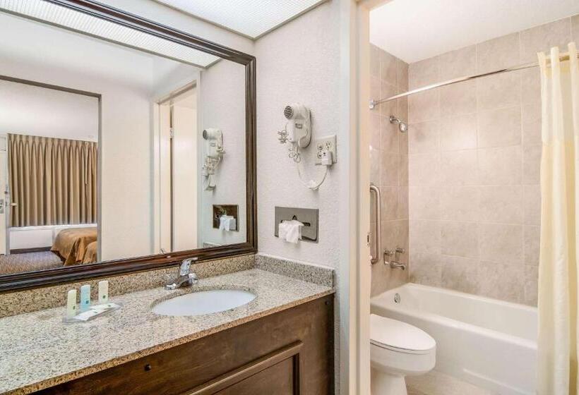 غرفه قياسيه سريرين مزدوجين, Quality Inn Suwanee I85