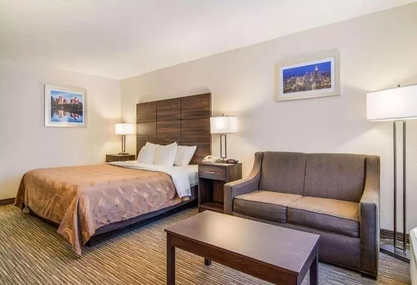 キングサイズベッドのスタンダードルーム, Quality Inn Suwanee I85