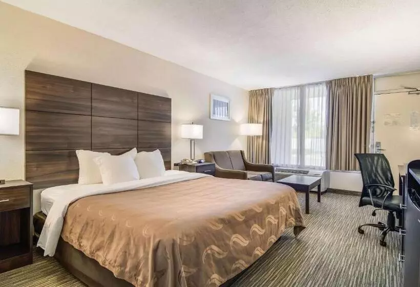 キングサイズベッドのスタンダードルーム, Quality Inn Suwanee I85