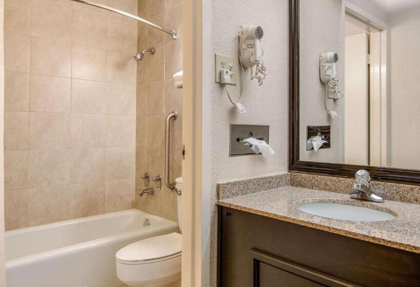 غرفة قياسية سرير كينج, Quality Inn Suwanee I85