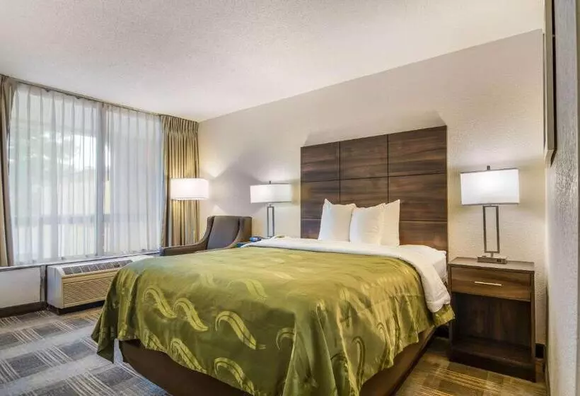 スタンダードルーム, Quality Inn Suwanee I85