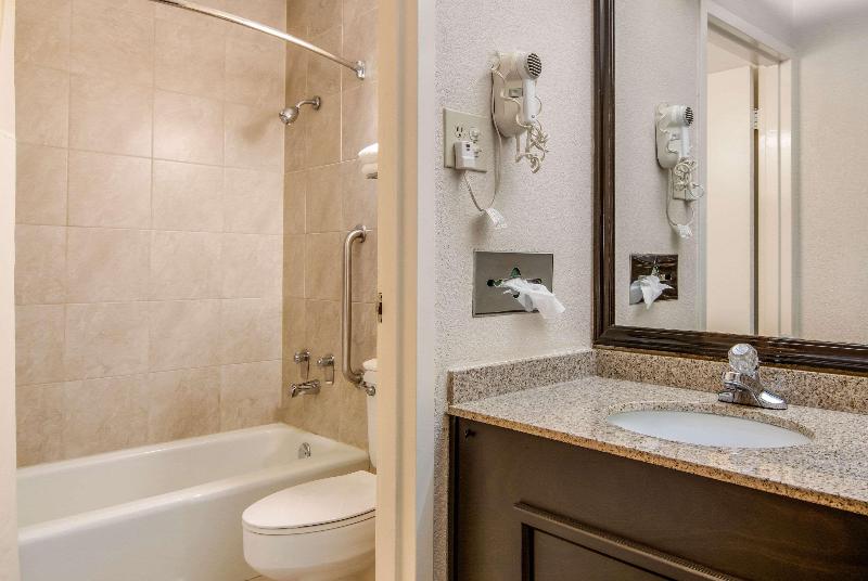 스탠다드 룸 킹사이즈 침대, Quality Inn Suwanee I85