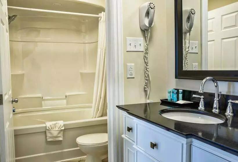 اتاق استاندارد با تخت دوبل, Royal Inn & Suites