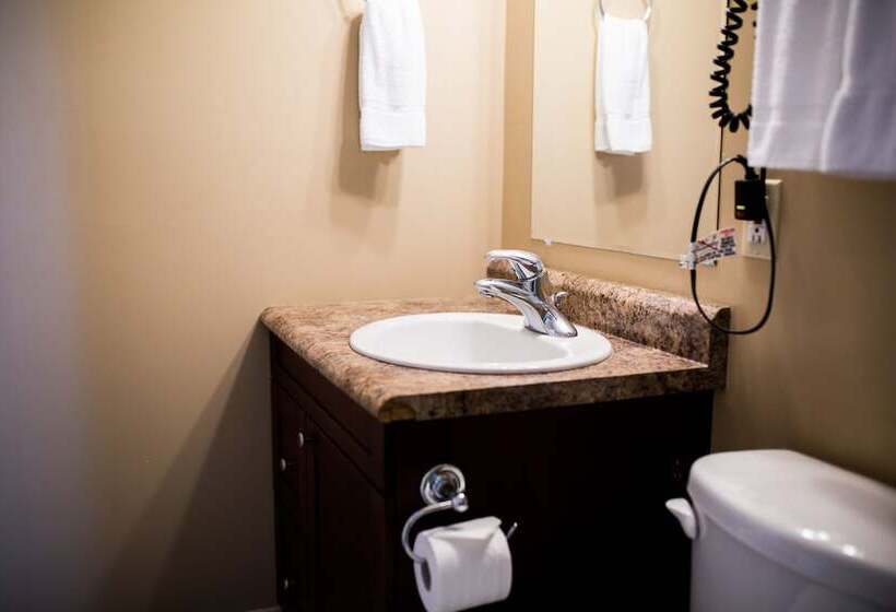 غرفة قياسية سرير مزدوج, Royal Inn & Suites