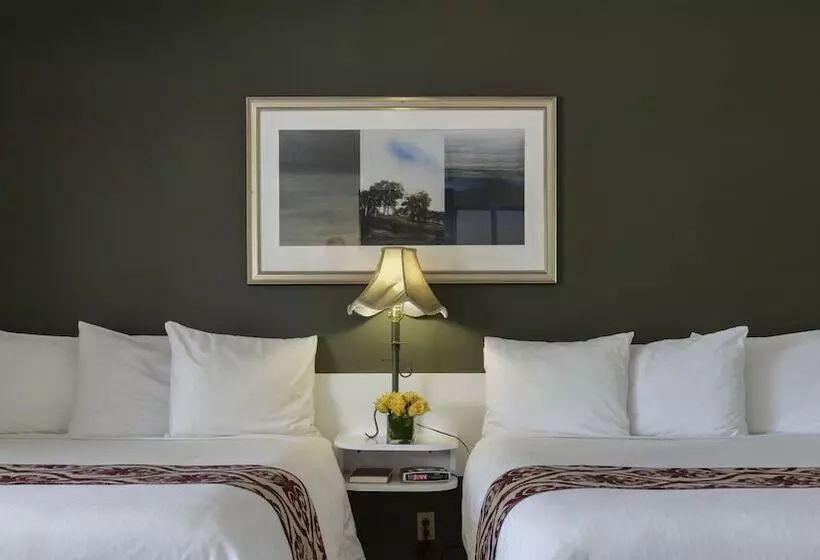 سوییت, Valley Star Motel
