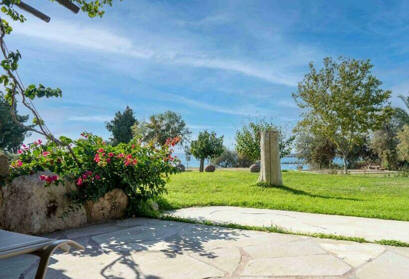 Студио Стандарт Вид на Сад, Coral Beach Hotel & Resort Cyprus