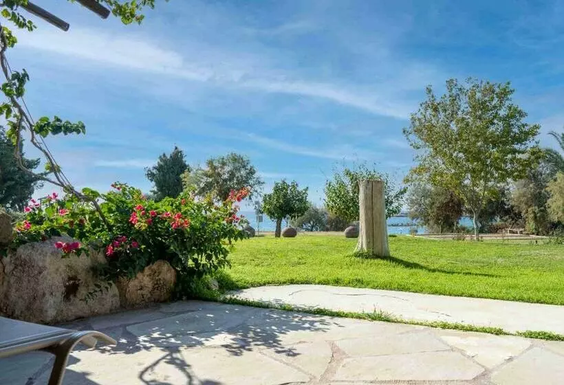 ガーデンビューのスタンダードワンルーム, Coral Beach Hotel & Resort Cyprus