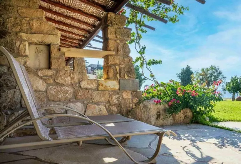 ガーデンビューのスタンダードワンルーム, Coral Beach Hotel & Resort Cyprus