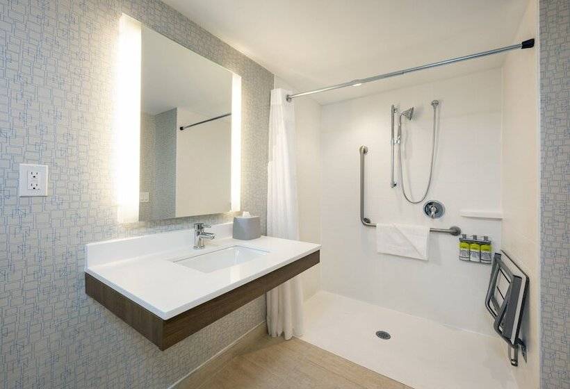 חדר סטנדרט מותאם לאדם עם מוגבלויות, Holiday Inn Express Toronto Downtown, An Ihg