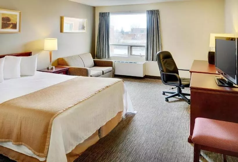 اتاق استاندارد برای معلولان, Travelodge Hotel By Wyndham Sudbury