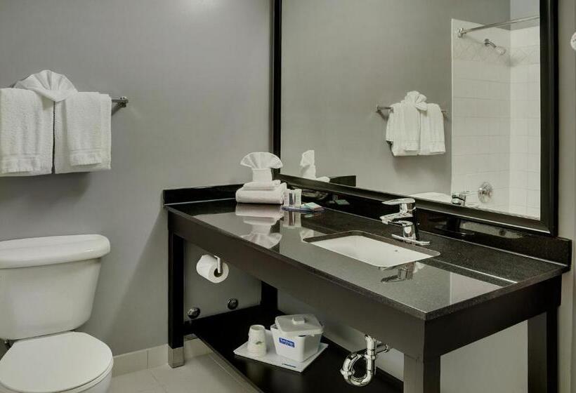Люкс Кровать Кинг, Travelodge Hotel By Wyndham Sudbury