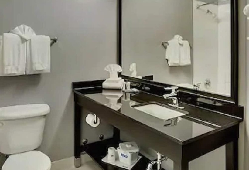 غرفة ديلوكس, Travelodge Hotel By Wyndham Sudbury