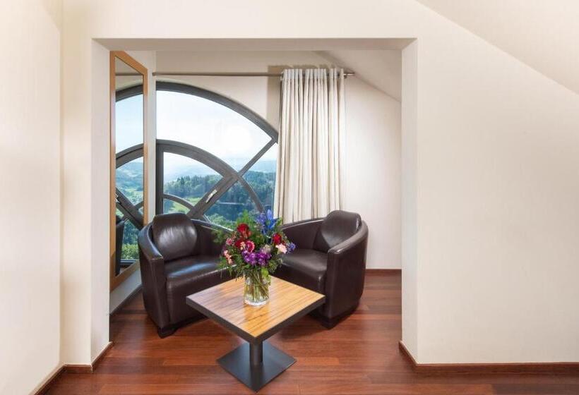 景色の見えるジュニアスイート, Uto Kulm Car Free Hideaway In Zurich