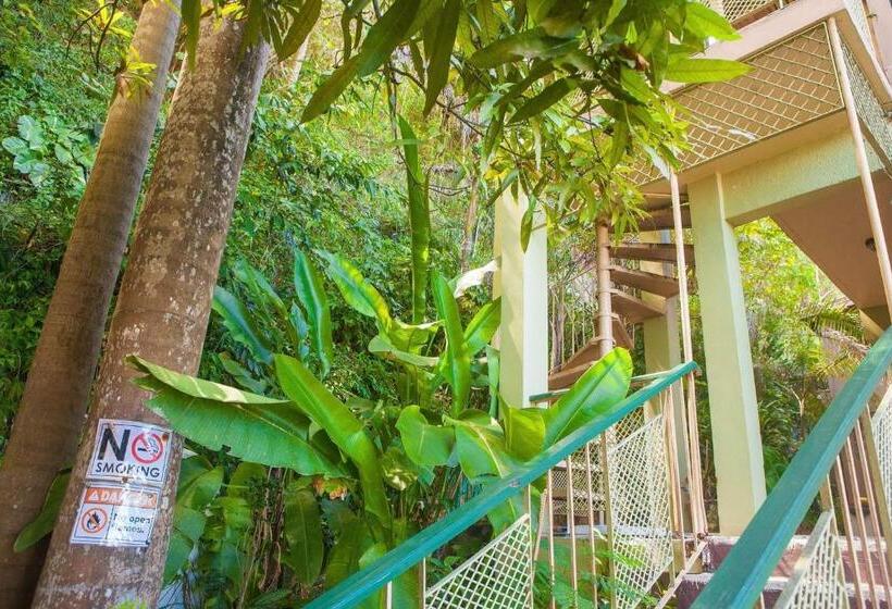 استودیوی استاندارد با چشمانداز دریا, Caribic House