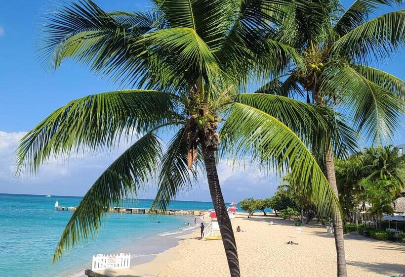 استودیوی استاندارد با چشمانداز دریا, Caribic House