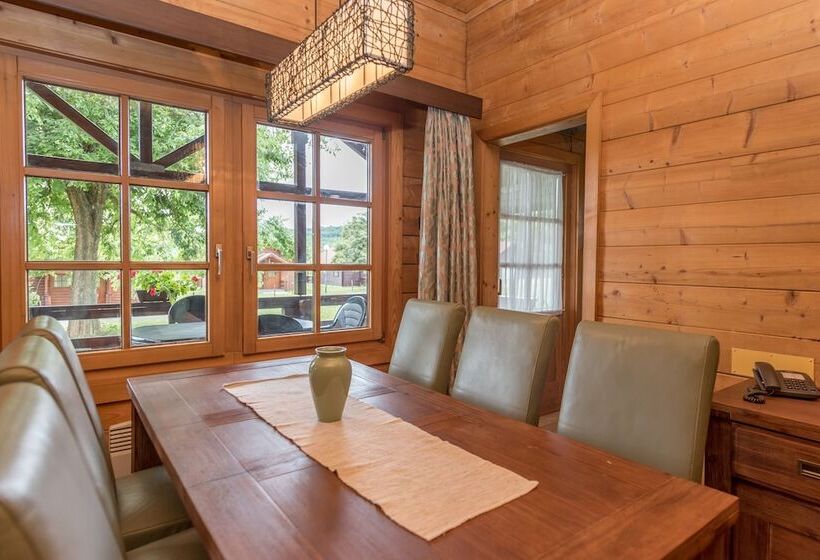 带1个卧室的高级公寓, Petneházy Apart