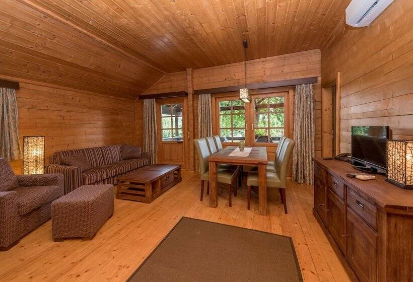 带1个卧室的高级公寓, Petneházy Apart