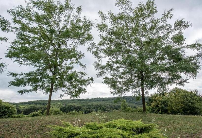 标准间, Petneházy Apart