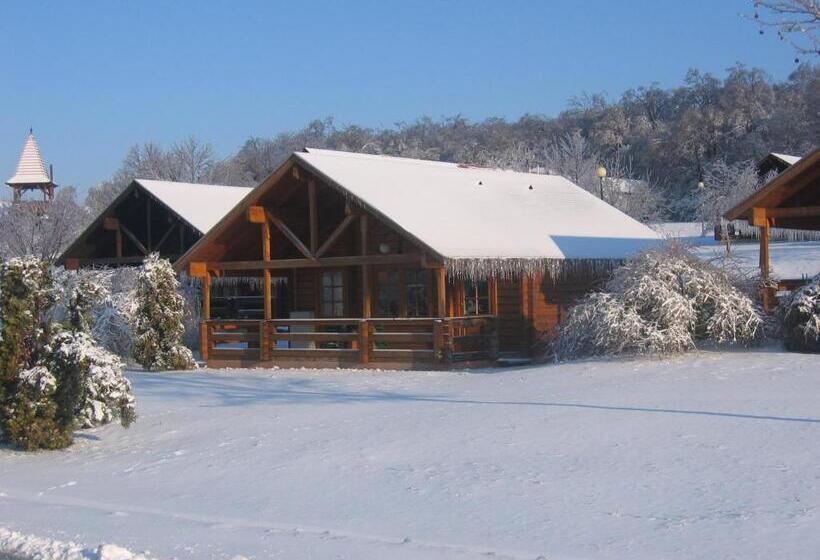 带1个卧室的公寓, Petneházy Apart