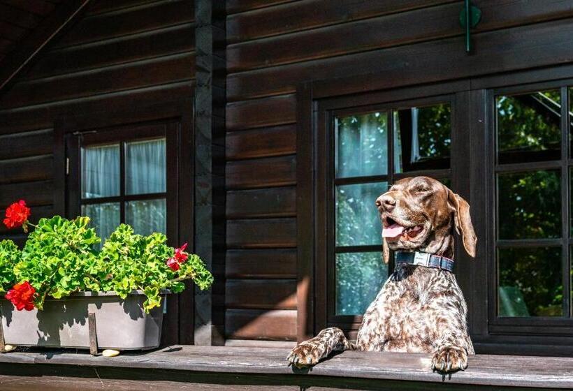 带1个卧室的公寓, Petneházy Apart