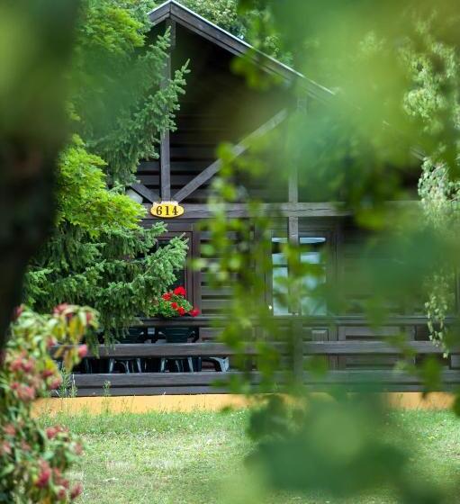 带1个卧室的公寓, Petneházy Apart